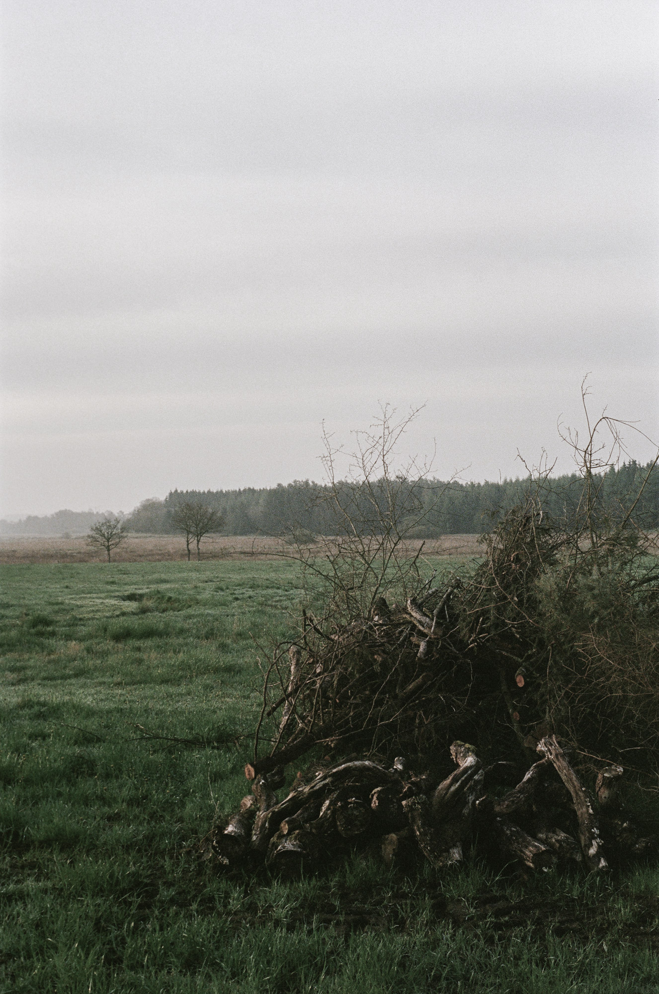 Nestled amid forestry, open meadows and rivers lies the Dinesen Country Home