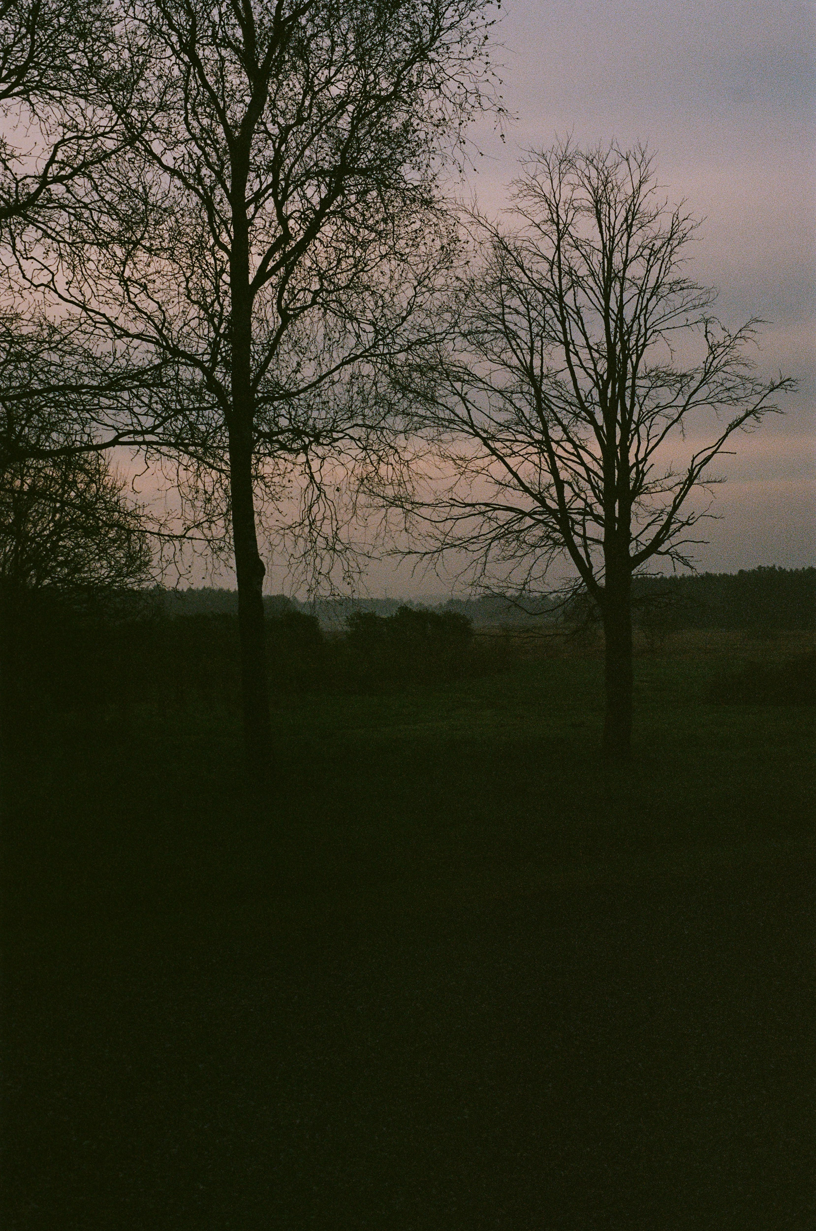 Sunset at Dinesen Country Home
